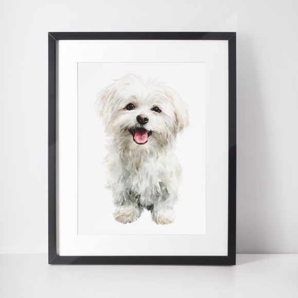 Watercolor White Maltese Dog Portrait Wall Art Print Poster, Unframed - Picture 3 of 6